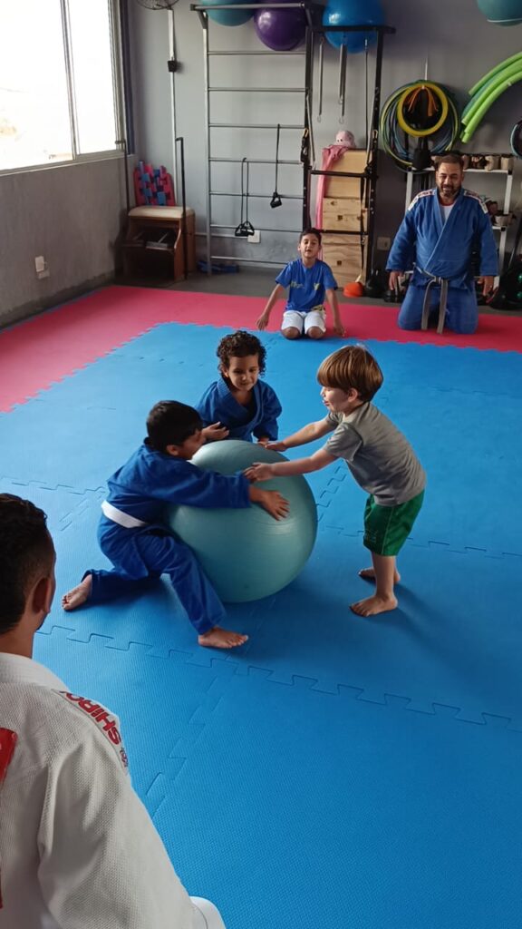 hidrovip-judo